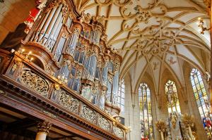 Trost-Orgel Altenburg